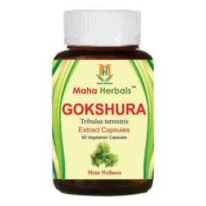 Gokshura Extract Capsules