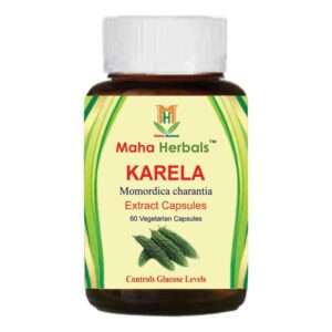 Karela Extract Capsules